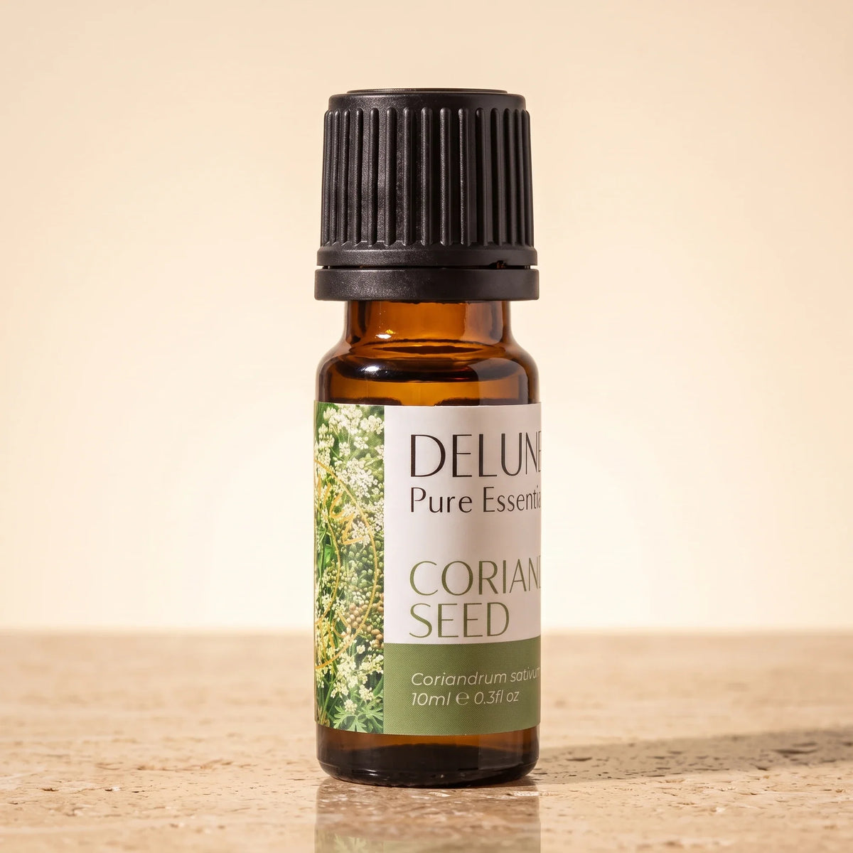Delune Coriander Seed Pure Essential Oil, 10ml amber glass bottle on warm travertine stone