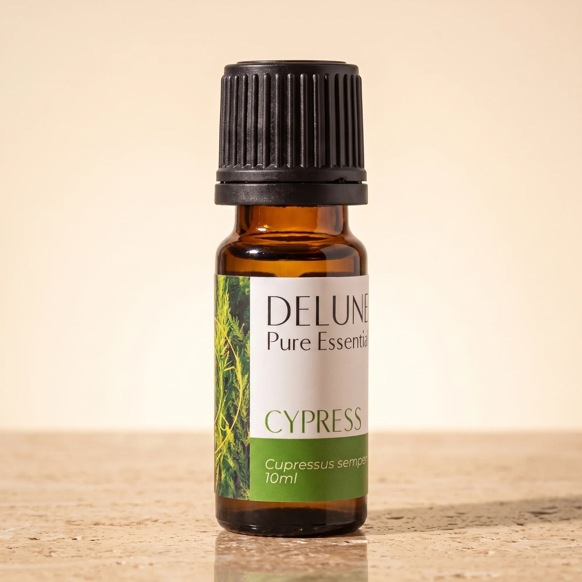 Delune Cypress Pure Essential Oil, 10ml amber glass bottle on warm travertine stone