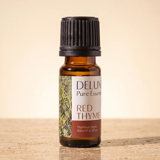 Delune Red Thyme Pure Essential Oil, 10ml amber glass bottle on warm travertine stone