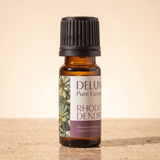 Delune Rhododendron Leaf Pure Essential Oil, 10ml amber glass bottle on warm travertine stone