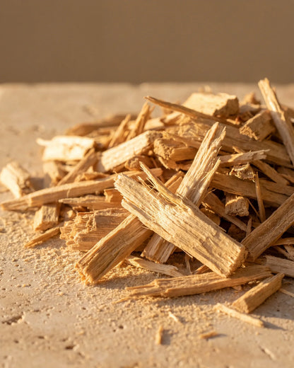 Raw golden sandalwood chips and powder in raking warm light — the creamy, woody scent of Delune Sandalwood Pure Essential Oil