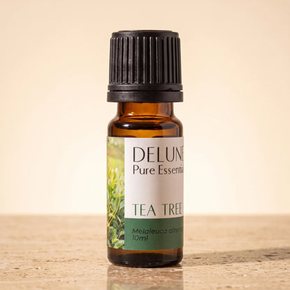 Delune Tea Tree Pure Essential Oil, 10ml amber glass bottle on warm travertine stone