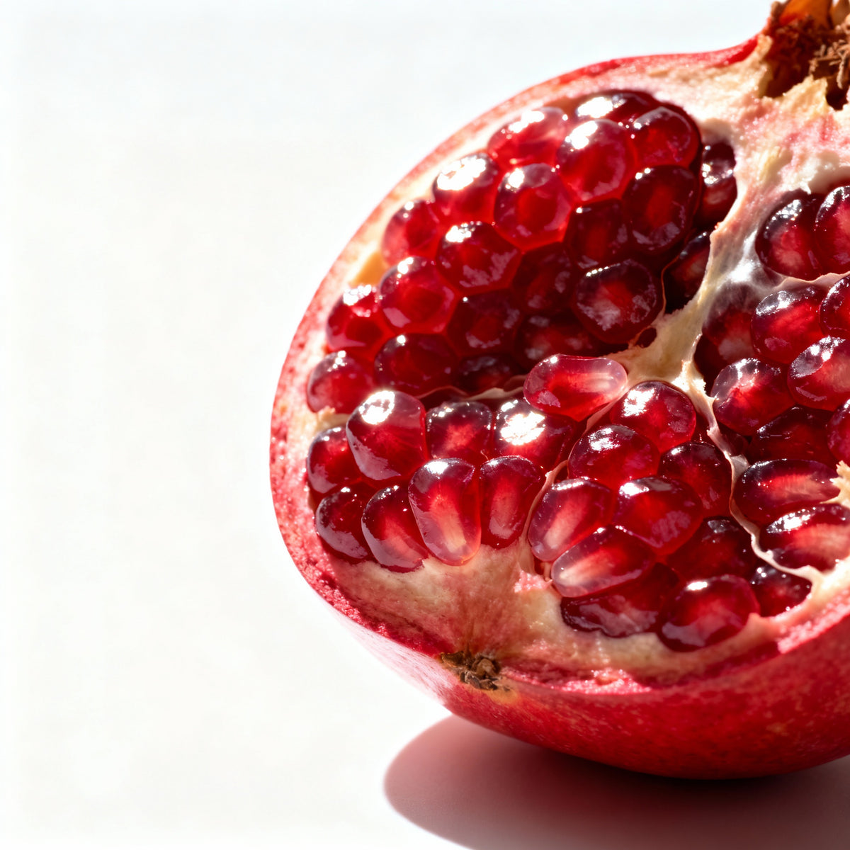 Pomegranate + Rose Geranium (Hydration) Active Serum Booster