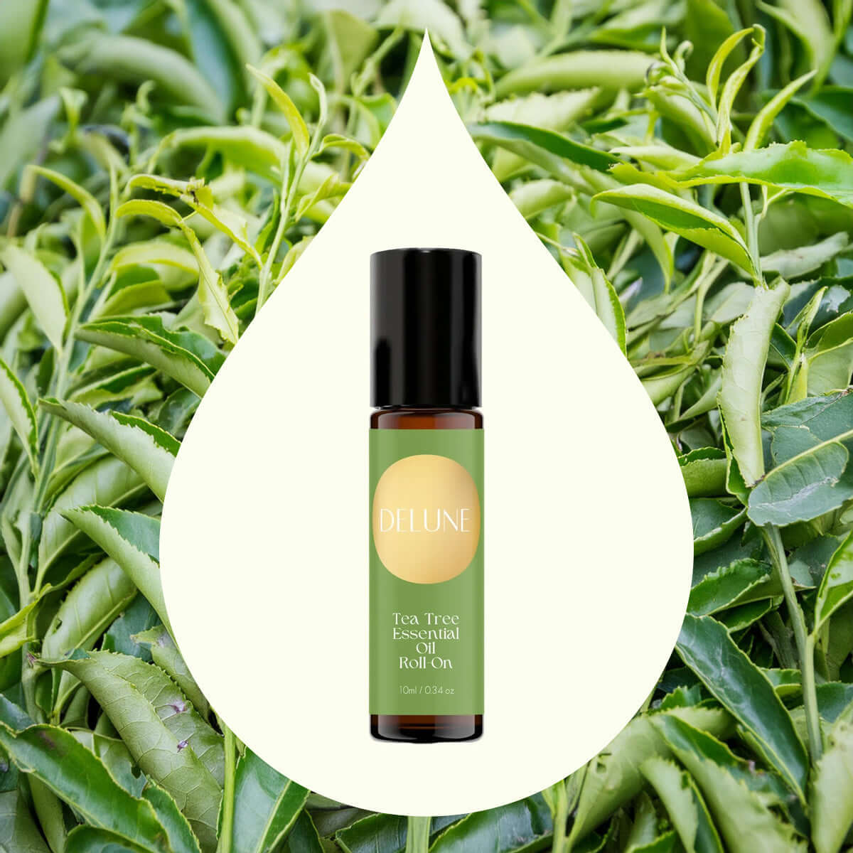 Tea Tree Essential Oil Roll-On - Delune 